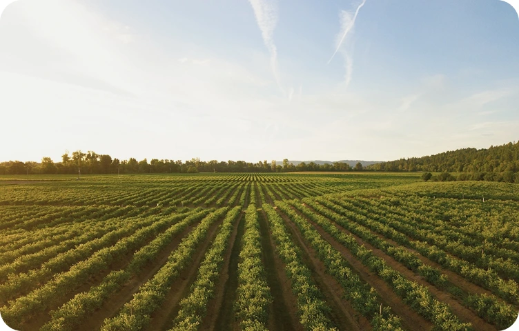 Ghid de bune practici pentru dezvoltarea durabilă în agricultură
